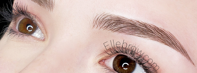 Ellebrow Microblading & Permanent Makeup Studio NYC - profile image