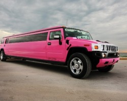 Pink Limo Party