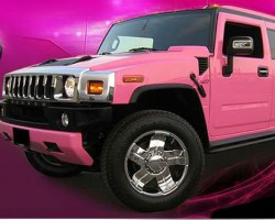 PinkLimo Party