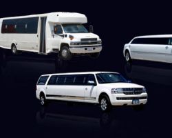 Fab Limousines, Inc.