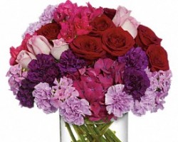 Colorado Springs Florist Inc.