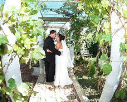 Top 10 Wedding Venues In Colorado Springs Co Best Banquet Halls