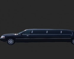 1st Choice Limousine Services Inc.