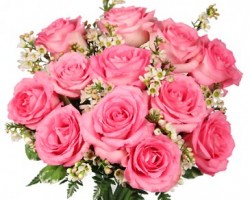 Top 10 Florists in Durham NC - Quick Flowers Delivery Service