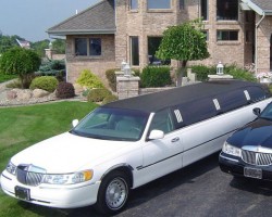 All Occasions Limousine Services