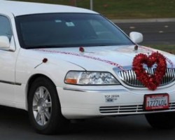 Star Limousine Services