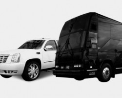 Global Limos