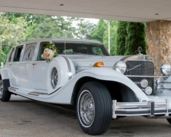 Roaring 20s Limo