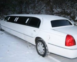 The Peoples Limo Service