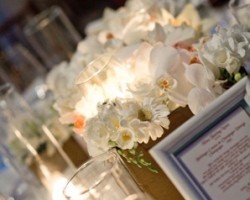 Divine Weddings & Events