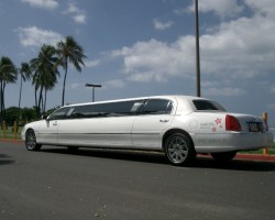 Sakura Limousine