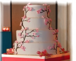 Meet Shraddha Jain of SJs Custom Cakes - Voyage LA Magazine | LA City Guide