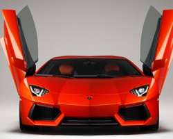 W Luxury Car Rentals