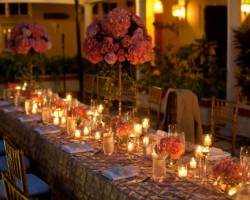 Blush Events