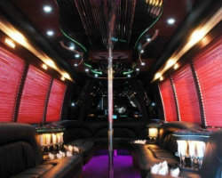 Earth Limos & Buses