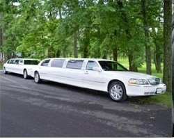 Premier Limo