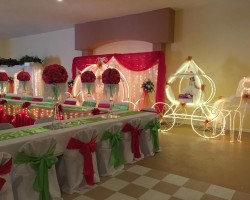 Dianes Bridal and Quinceanera