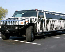 A1 Luxury Limo