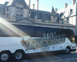 M & V Limousines