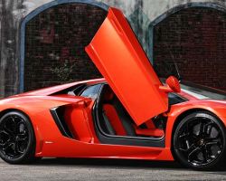 Exotic Car Rental