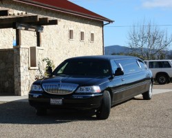 Apex Limousine Transportation