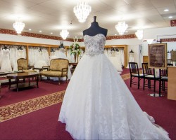 Wedding Gallery