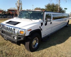 Treasure Island Limo