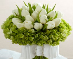 Creative Floral Designs