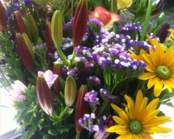 Chisholm Creek Flowers